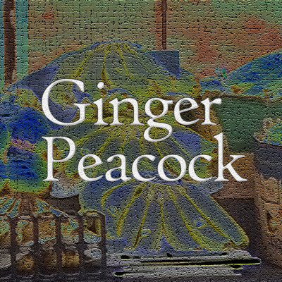 Ginger Peacock/fired Marron Gerbera Coreopsis