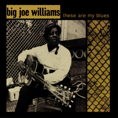 アルバム/These Are My Blues (Live)/ビッグ・ジョー・ウィリアムス
