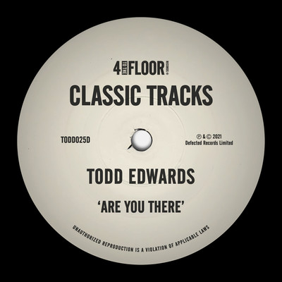 シングル/Are You There (Instrumental Version)/Todd Edwards
