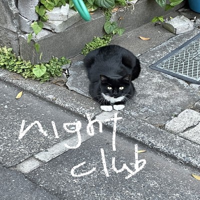 アルバム/night club/Y.couresK