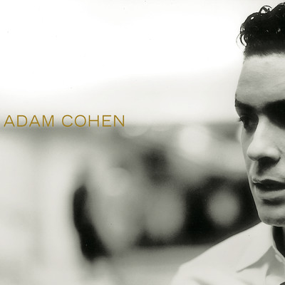 シングル/It's Alright/Adam Cohen