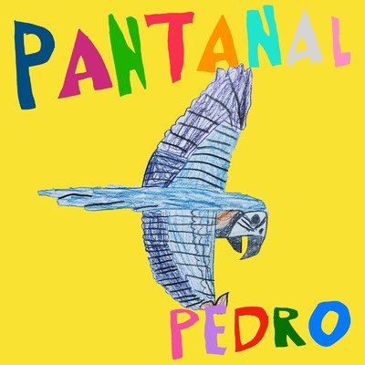 Pedro/Pantanal