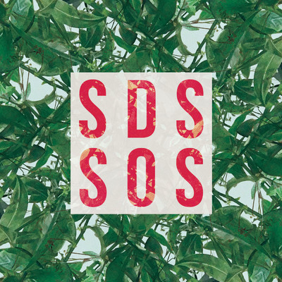SOS/Surfistas Del Sistema