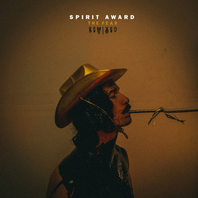 Pushing Forward (Teenage Sequence Remix)/Spirit Award