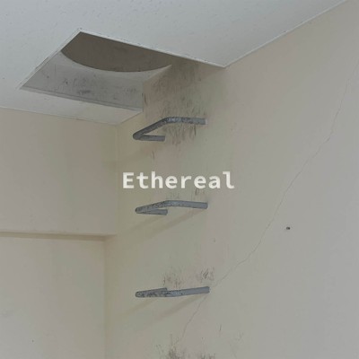 Ethereal/OSMR