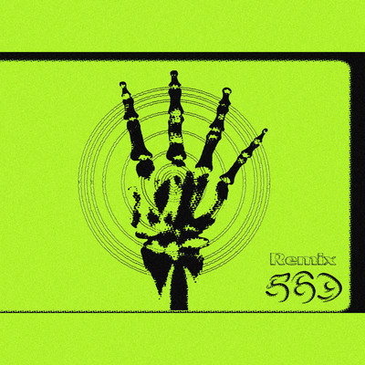 569 (Remix)/Fandisk