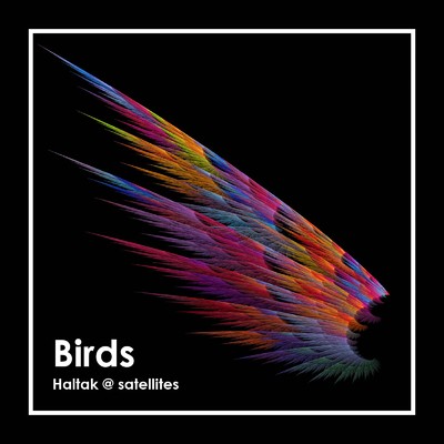 アルバム/Birds/Haltak @ satellites