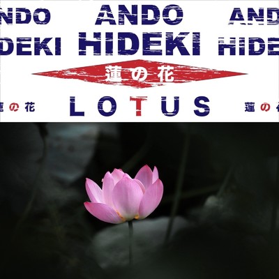 蓮の花 LOTUS/安藤 秀樹