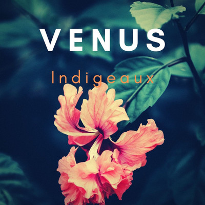 Venus/Indigeaux