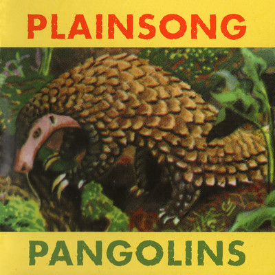 アルバム/Pangolins/Plainsong