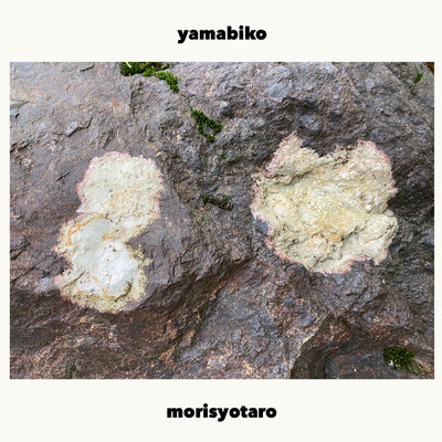 シングル/yamabiko/morisyotaro