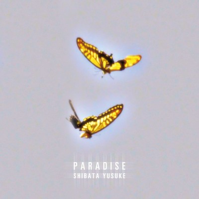 PARADISE/SHIBATA YUSUKE