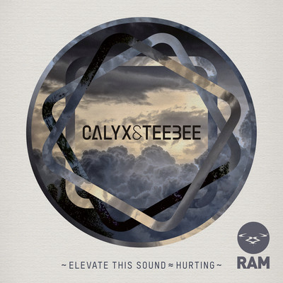 Elevate This Sound ／ Hurting/Calyx & TeeBee