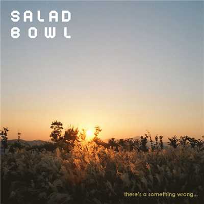 アルバム/There's a something wrong…/SaladBowl