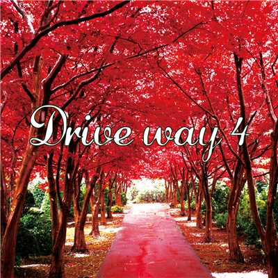 Drive way4/kurosawadaisuke