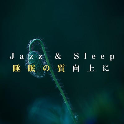 ハイレゾアルバム/Jazz & Sleep 〜睡眠の質向上に/Dream House