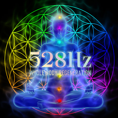 528Hz・睡眠導入〜DNAを修復するソルフェジオ周波数と静かな瞑想音楽で癒やされながら質の高い眠りを〜/Healing Energy