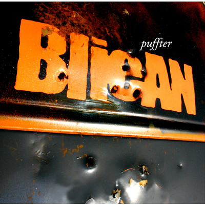 puffter/BlieAN