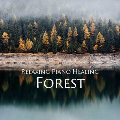 ラベンダー畑の風景 (forest)/Healing Energy