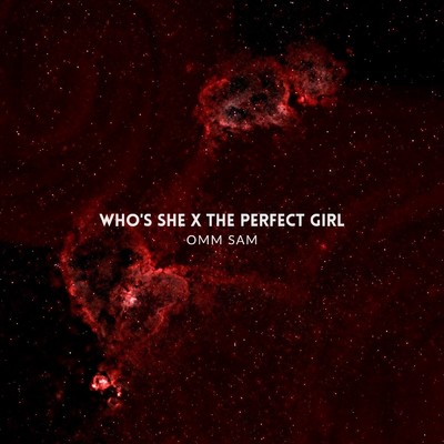 Who's She x The Perfect Girl/OMM SAM