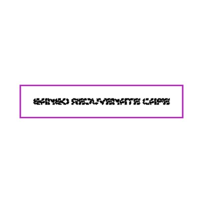 Sandy Scandal/Gango Rejuvenate Cafe