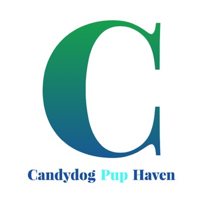 アルバム/Candydog Pup Haven/Candydog Pup Haven