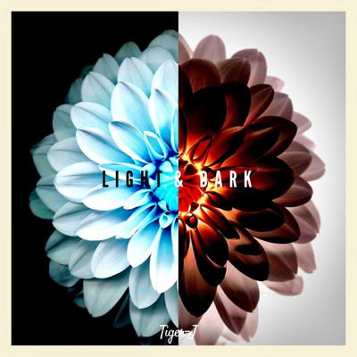 アルバム/Light & Dark/Tiger-J