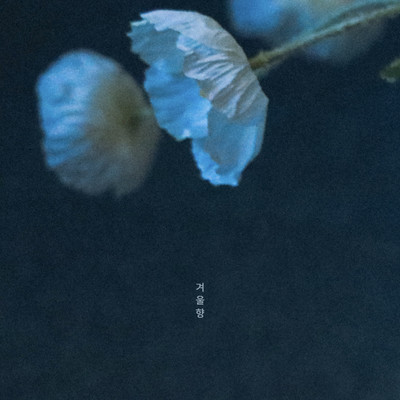シングル/the scent of winter/Kim Boogyeong