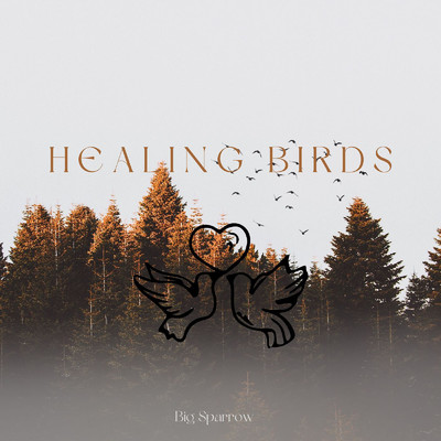 シングル/Healing Birds/Big Sparrow