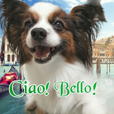 Ciao！ Bello！/内藤せれな