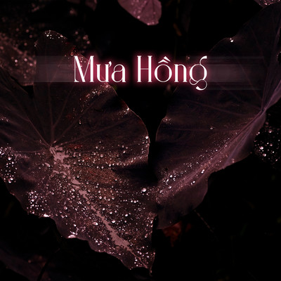 Mua Hong/Hang Han