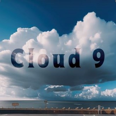 アルバム/Cloud 9/Fixer