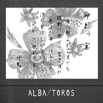 シングル/命どぅ宝/ALBA／TOROS