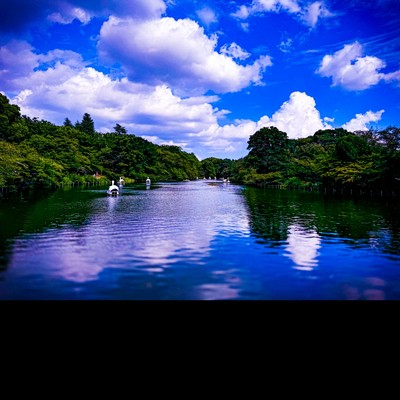 Night At The Inokashira Park/佐久間修