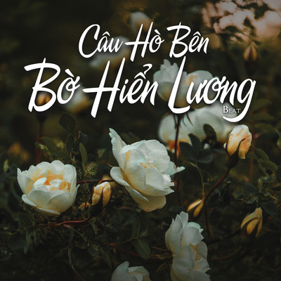 シングル/Cau Ho Ben Bo Hien Luong (Beat)/NS Records