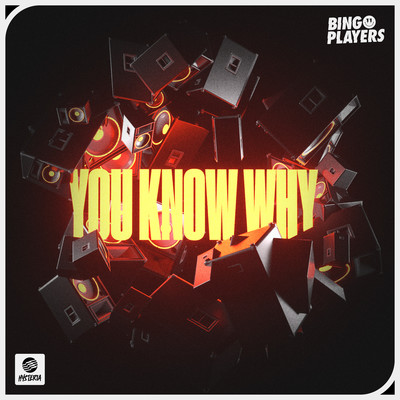 シングル/You Know Why (Extended Mix)/Bingo Players
