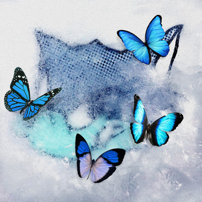 アルバム/Frozen Butterfly/WOLF HOWL HARMONY from EXILE TRIBE