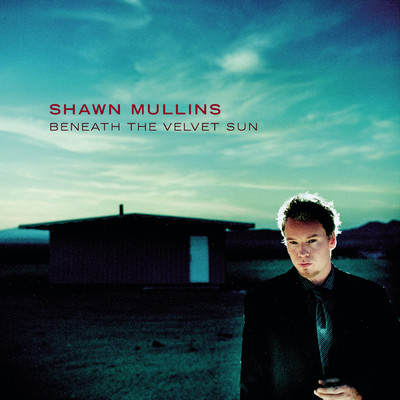 Up All Night (Album Version)/Shawn Mullins