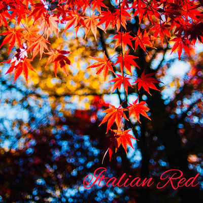 Italian Red/源治麿