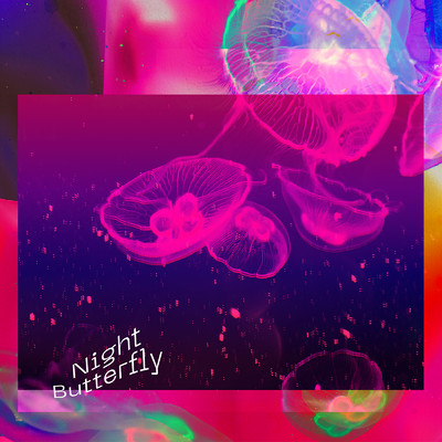 シングル/Night Butterfly/Tani Yuuki