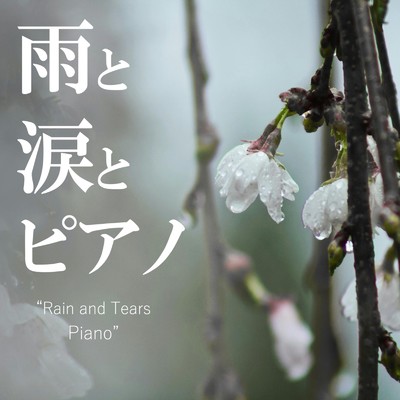 雨と涙とピアノ/Sora Tori