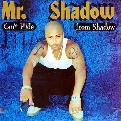 アルバム/Can't Hide From Shadow/Mr. Shadow