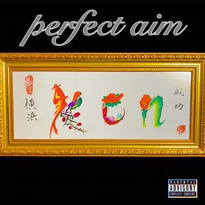 アルバム/Perfect aim/Ken