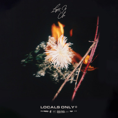 アルバム/Light It Up (Explicit)/Locals Only Sound