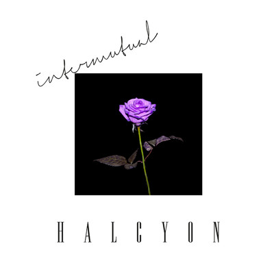 シングル/Intermutual/HALCYON