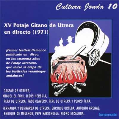 Cultura Jonda X. XV Potaje gitano de Utrera en directo (1971)/Various Artists