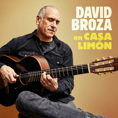 Guitar Confessions/David Broza