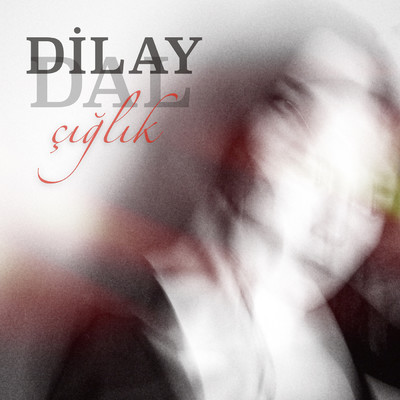 Dilay Dal