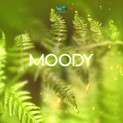 アルバム/Moody/NS Records