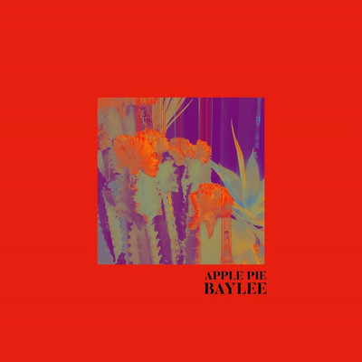 シングル/Someonetofuckw／ (feat. BOiTELLO)/BAYLEE